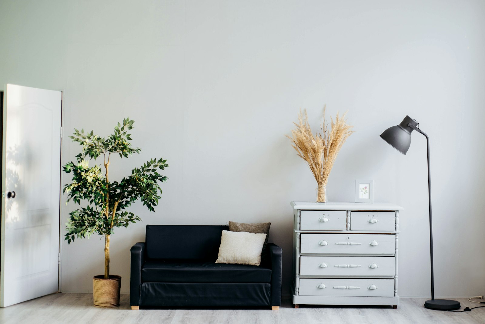 Mold & Moisture Under Vancouver Floors: Warning Signs, What We Find, and How to Prevent It (2026)